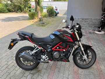 Benelli BN 251 - 2018
