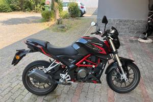 Benelli BN 251 - 2018