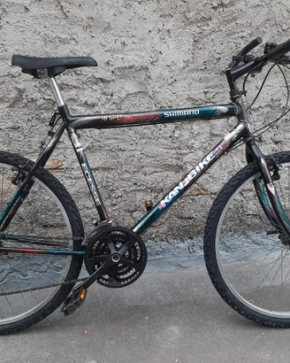 Bicicletta Mountain bike 26