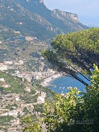 Panoramico immobile