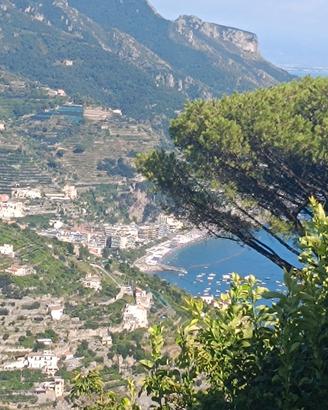 Panoramico immobile