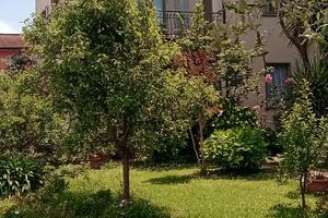 Casa vacanze a fiumaretta di Ameglia (sp)