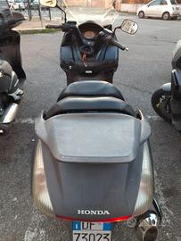 Silver wing 400
