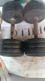 Coppia Pesi palestra 10kg cadauno