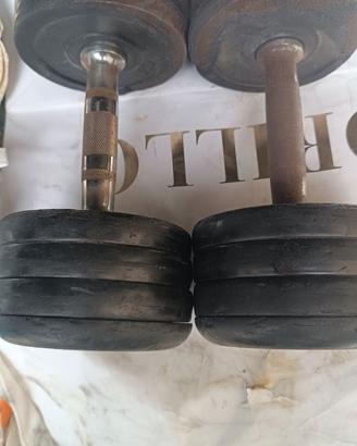 Coppia Pesi palestra 10kg cadauno