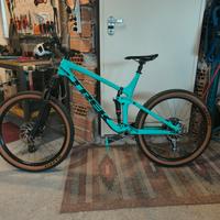 Trek Remedy 8