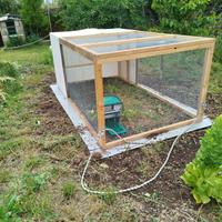 Pollaio voliera x ovaiole