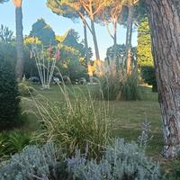 Tutto fare