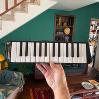 Melodica hohner vintage