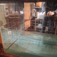 Mobile bar anni  '30 vintage