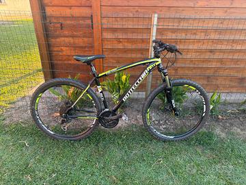 Bicicletta Bottecchia