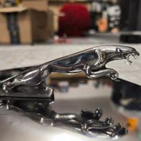 JAGUAR CAR AUTO Logo Giaguaro Emblema Fregio Stemm