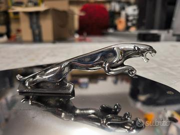 JAGUAR CAR AUTO Logo Giaguaro Emblema Fregio Stemm