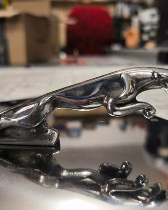 JAGUAR CAR AUTO Logo Giaguaro Emblema Fregio Stemm