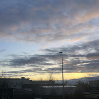 Assemblag,carrellista ,pulizie ,verniciat,consegne