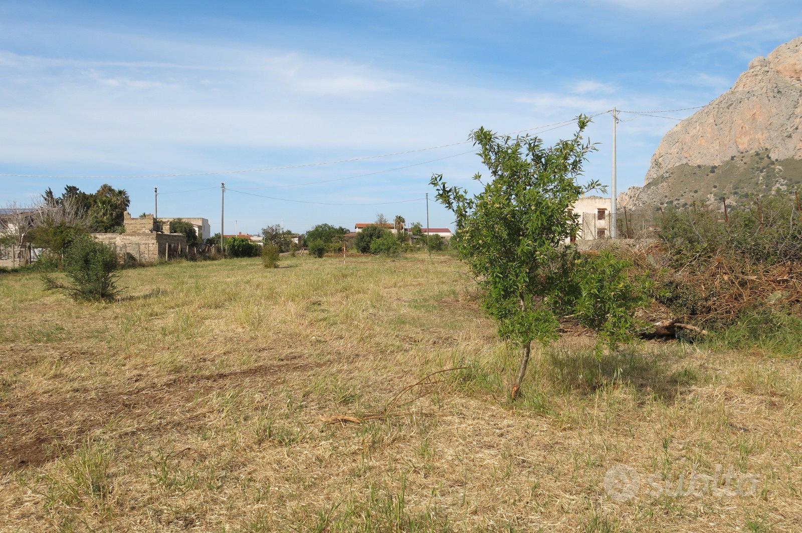 Cinisi (Pa) Terreno Agricolo 2.000mq circa - Vista 2