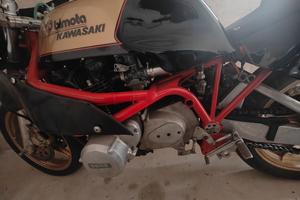 Bimota su base Kawasaki Z900 – 1976