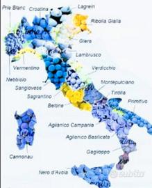 Direttore Operativo in tutta Italia Ristorazione