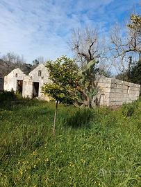 Rustico con terreno e pozzo