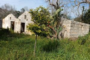 Rustico con terreno e pozzo