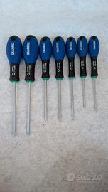 Giraviti Torx