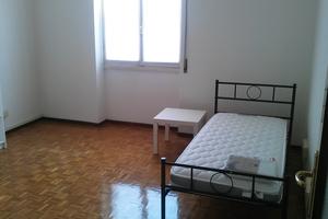 Ampia stanza in centro da subito