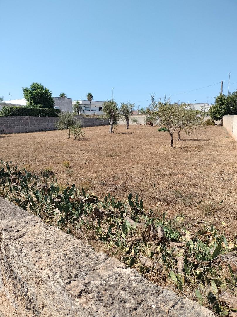 Terreno edificabile via Svizzera - Taviano (Lecce) - View 5