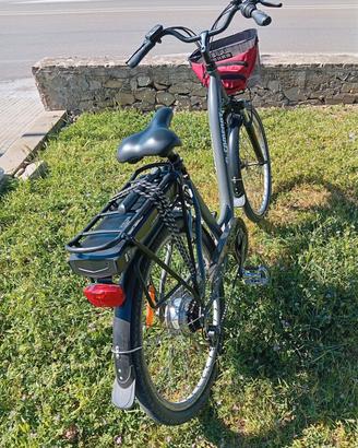 bicicletta elettrica pedalata assistita