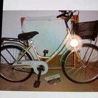 bicicletta da donna con cestino 