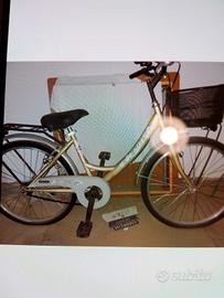 bicicletta da donna con cestino 