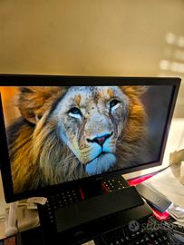 Monitor Benq 24 pollici
