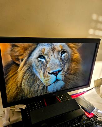 Monitor Benq 24 pollici
