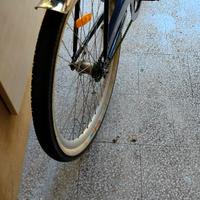 bici  stile americana 