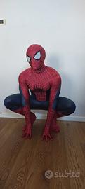 Costume cosplay the amazing spiderman 