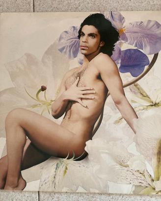 Prince