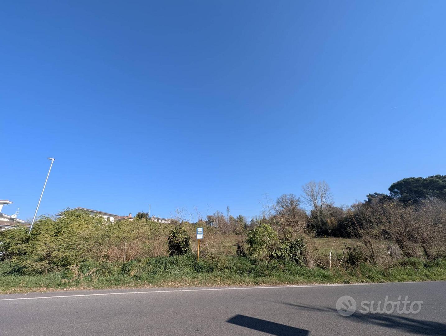 Terreno edificabile - Segni - Vista 2