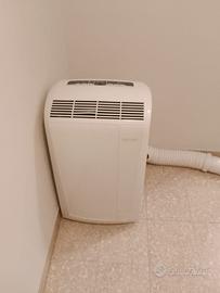 Pinguino de longhi