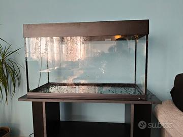 acquario e mobile