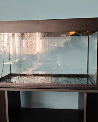 acquario e mobile
