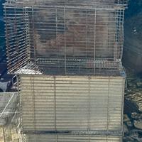 Gabbie da 42x42x34 in blocco