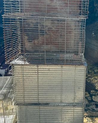 Gabbie da 42x42x34 in blocco