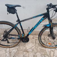 Mtb Bottecchia FH 109