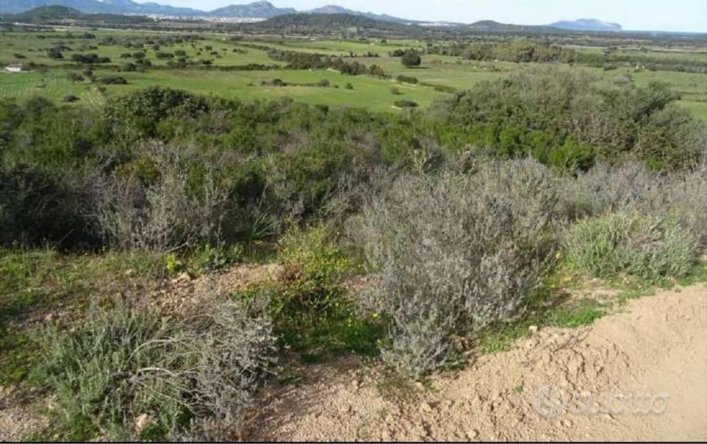 Immobile in asta di 2270 m² a Olbia - Vista 5