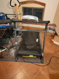 Tapirulan elettronico 