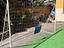 Immagine 1