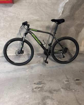 Mountain bike specialized
