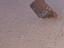 Immagine 4