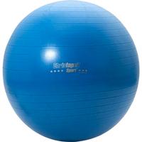 Fitball + pompa di gonfiaggio