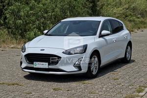 FORD Focus 1.5 EcoBlue 120 CV 5p. Business