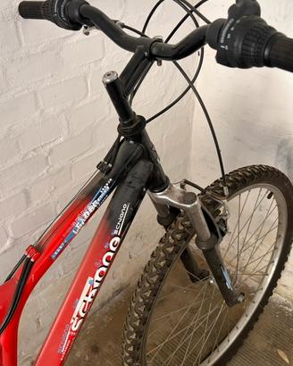 Bicicletta